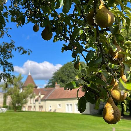 Le Petit Chateau Baye  Dış mekan fotoğraf