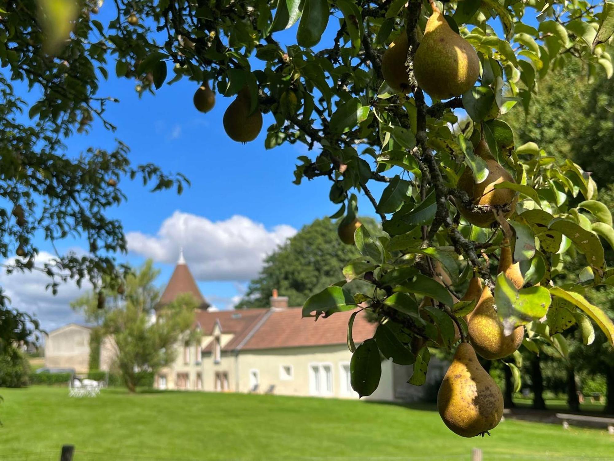 Le Petit Chateau Baye  Dış mekan fotoğraf